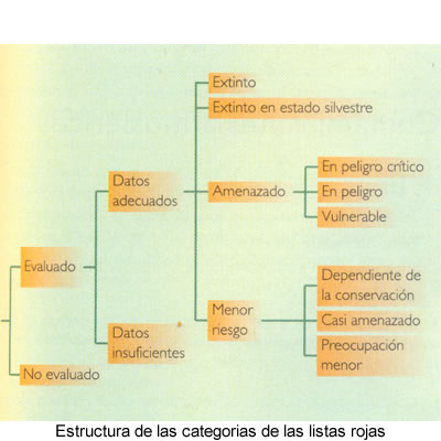 Lista Roja